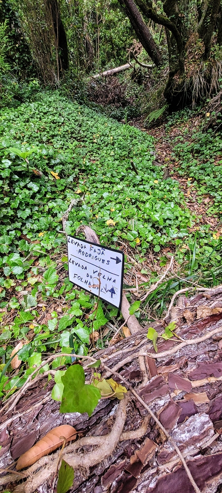 13.06.2022 3 neue Levadas westlich von Rosario — Correção do indicador — foto 1