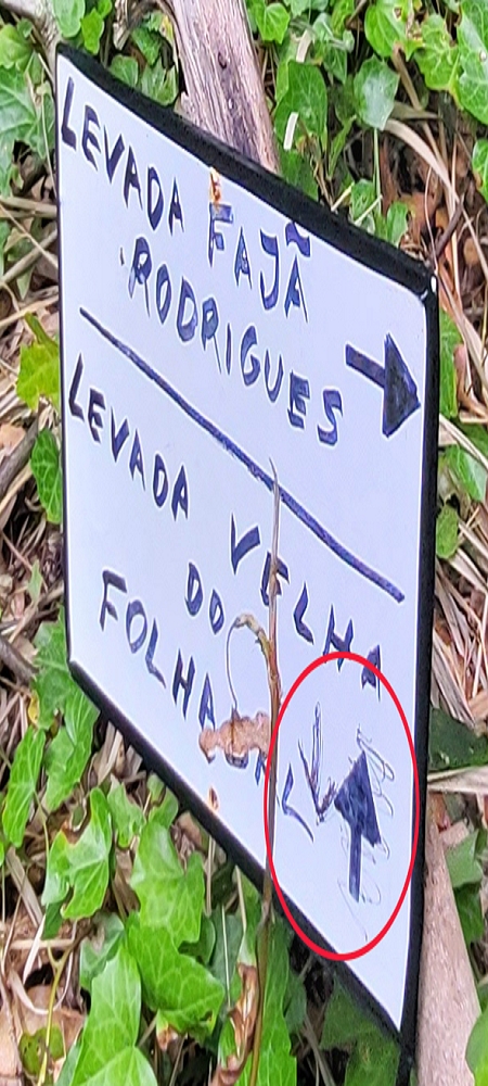 13.06.2022 3 neue Levadas westlich von Rosario — Correção do indicador — foto 2