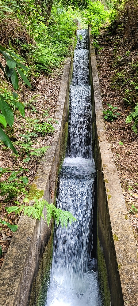 13.06.2022 3 neue Levadas westlich von Rosario — Levada da Faja do Rodrigues — foto 2