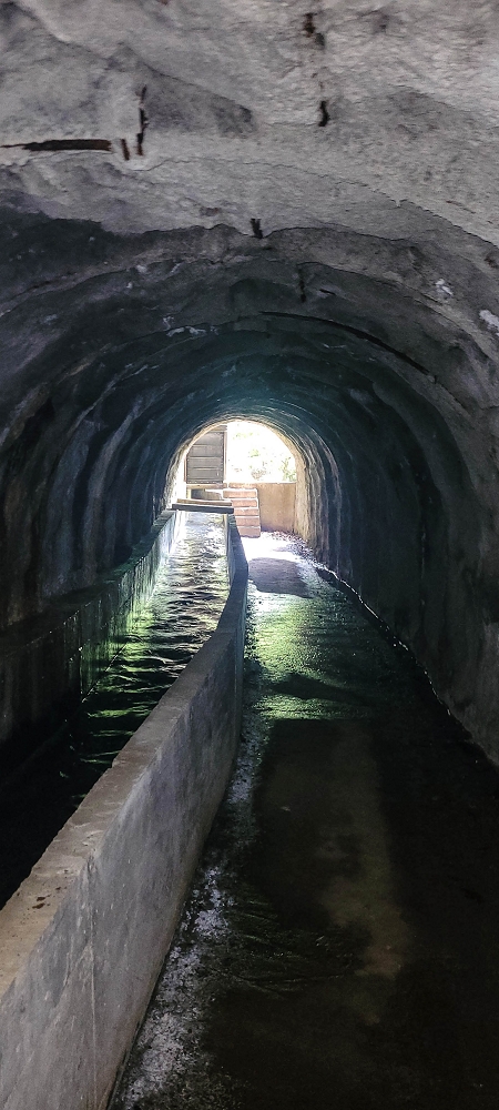 13.06.2022 3 neue Levadas westlich von Rosario — Levada da Faja do Rodrigues — foto 4