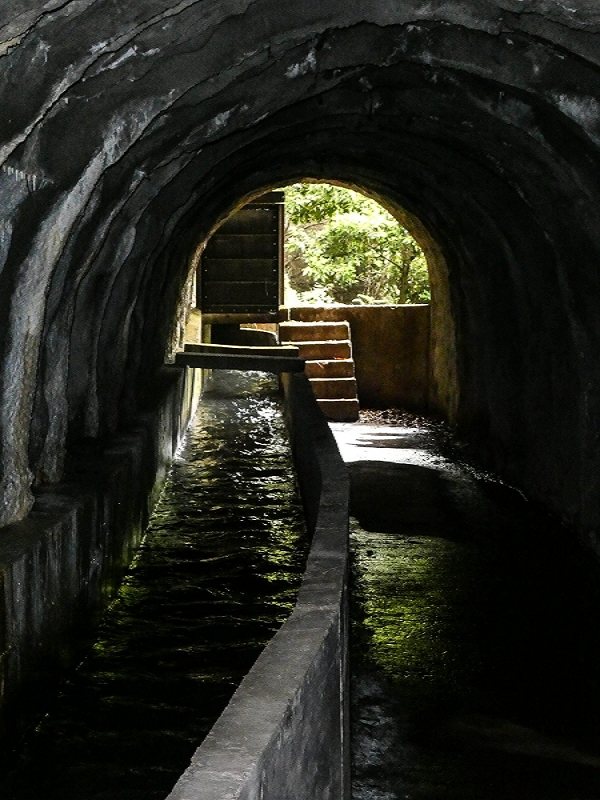13.06.2022 3 neue Levadas westlich von Rosario — Levada da Faja do Rodrigues — foto 5