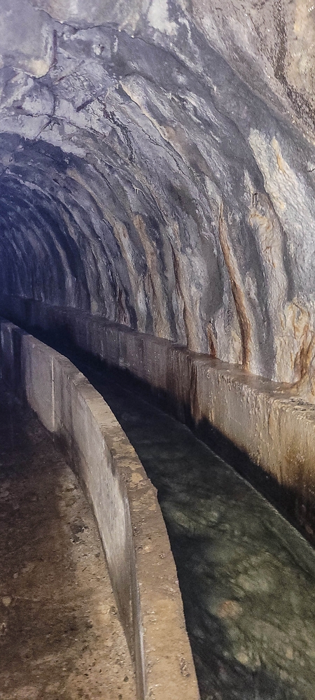 13.06.2022 3 neue Levadas westlich von Rosario — Levada da Faja do Rodrigues — foto 6