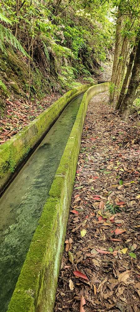 13.06.2022 3 neue Levadas westlich von Rosario — Levada da Faja do Rodrigues — foto 1
