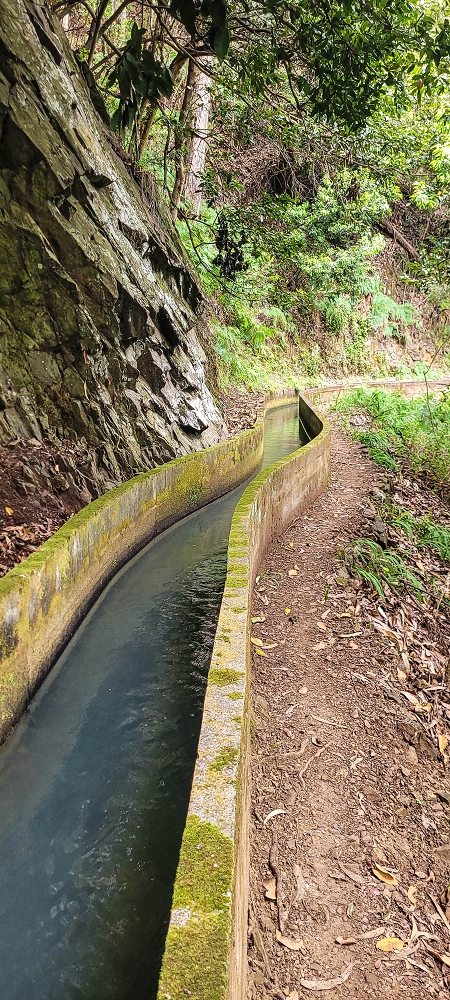 13.06.2022 3 neue Levadas westlich von Rosario — Levada da Faja do Rodrigues — foto 2