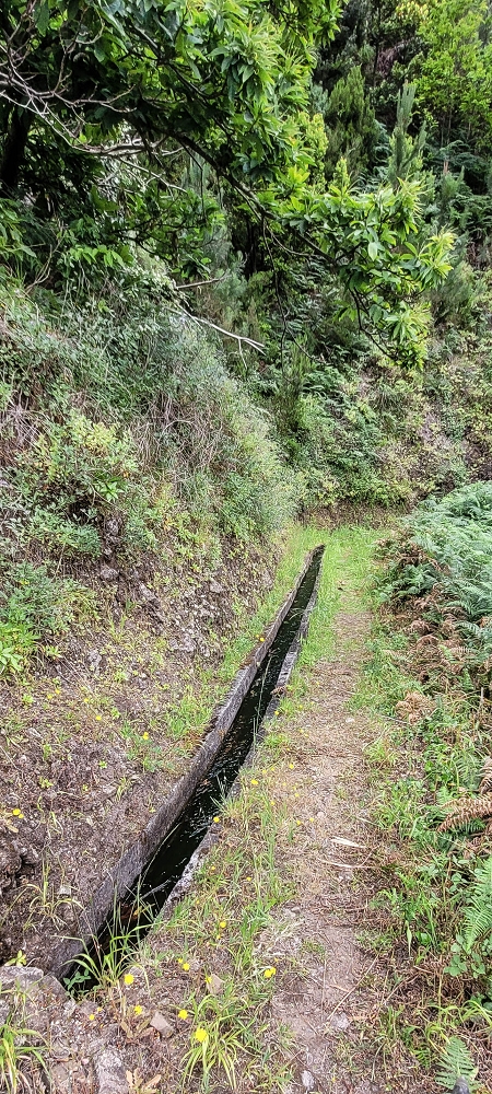 Levada do Poio — In die kleine Schlucht der Ribeira dos Agrioes ou Seca — Foto 1