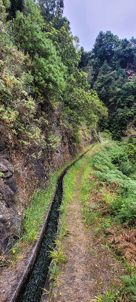 Levada do Poio — In die kleine Schlucht der Ribeira dos Agrioes ou Seca — Foto 2