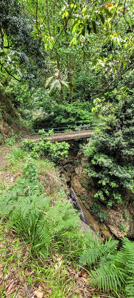 Levada do Poio — In die kleine Schlucht der Ribeira dos Agrioes ou Seca — Foto 3