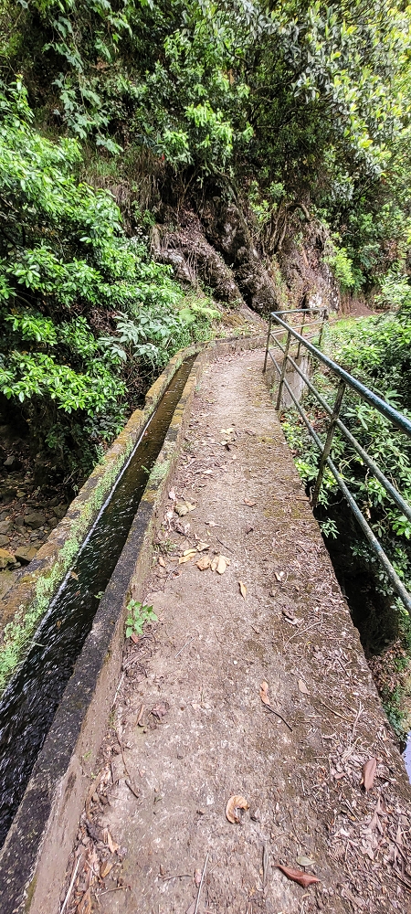 Levada do Poio — In die kleine Schlucht der Ribeira dos Agrioes ou Seca — Foto 4
