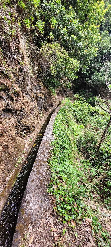 Levada do Poio — In die kleine Schlucht der Ribeira dos Agrioes ou Seca — Foto 5