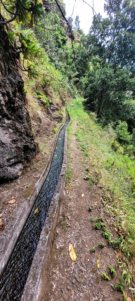 Levada do Poio — In die kleine Schlucht der Ribeira dos Agrioes ou Seca — Foto 6