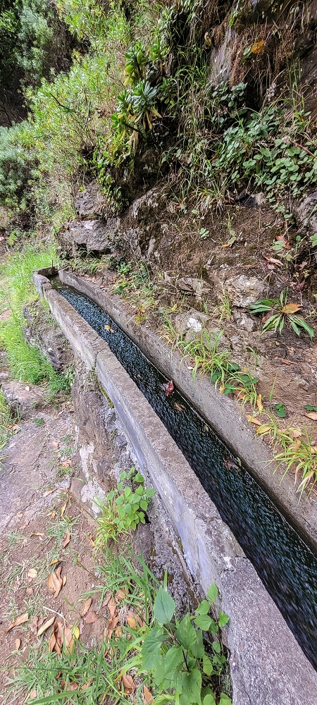 Levada do Poio — In die kleine Schlucht der Ribeira dos Agrioes ou Seca — Foto 7
