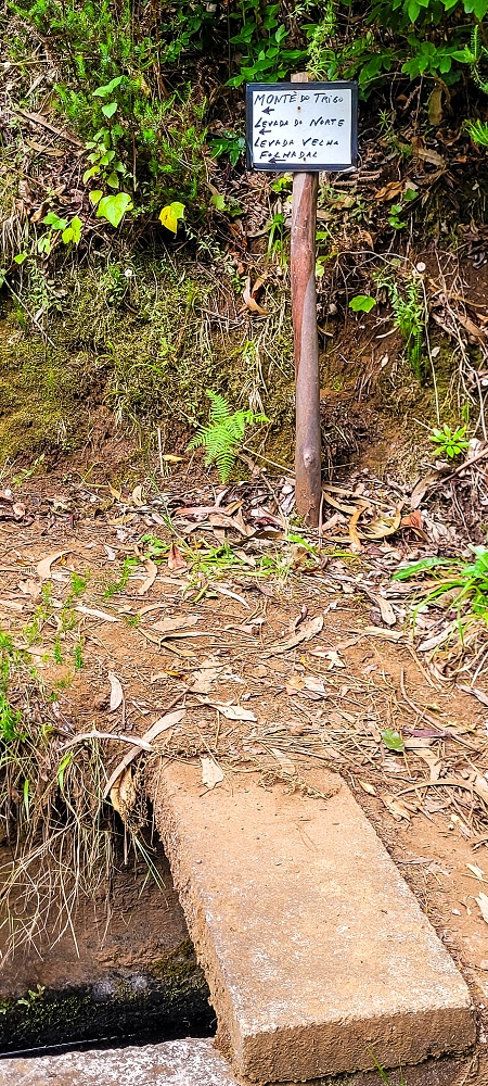 13.06.2022 3 neue Levadas westlich von Rosario — Subida à 2.ª Madre da Levada dos Agrioes — foto 2