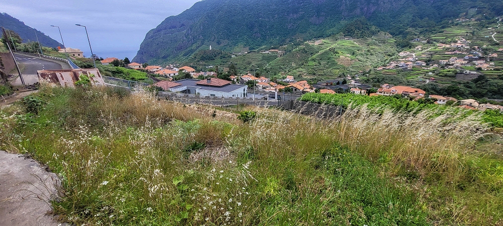 Levada do Poio — In die kleine Schlucht der Ribeira dos Agrioes ou Seca — Foto 9