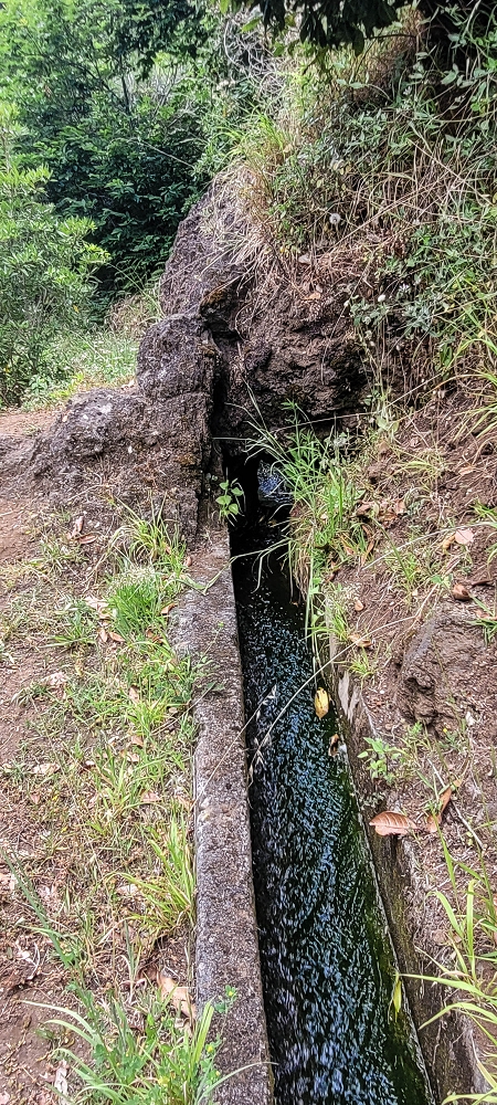 13.06.2022 3 neue Levadas westlich von Rosario — Levada do Poio no sentido da corrente, e de regresso — foto 12