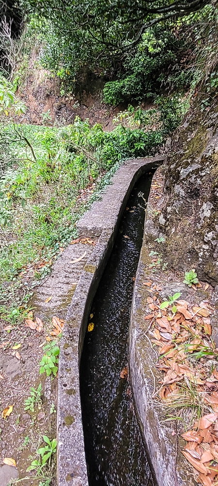 13.06.2022 3 neue Levadas westlich von Rosario — Levada do Poio no sentido da corrente, e de regresso — foto 13