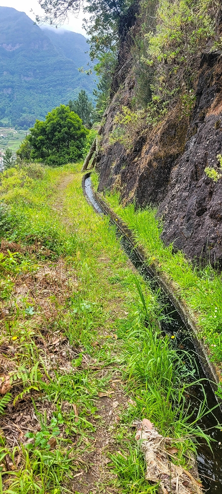 13.06.2022 3 neue Levadas westlich von Rosario — Levada do Poio no sentido da corrente, e de regresso — foto 14
