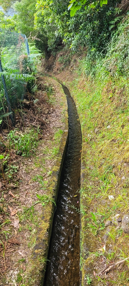 13.06.2022 3 neue Levadas westlich von Rosario — Levada do Poio no sentido da corrente, e de regresso — foto 15