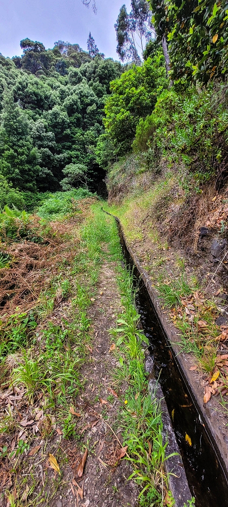 Levada do Poio — Verlauf bis zum Reservoir — Foto 16