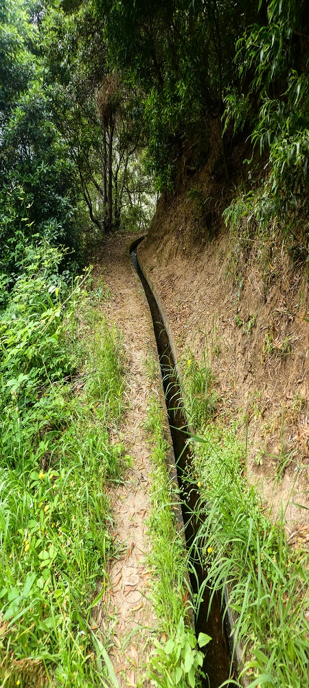 Levada do Poio — Verlauf bis zum Reservoir — Foto 15