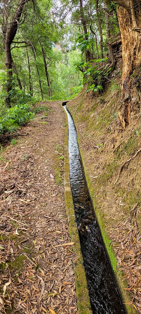 Levada do Poio — Verlauf bis zum Reservoir — Foto 14