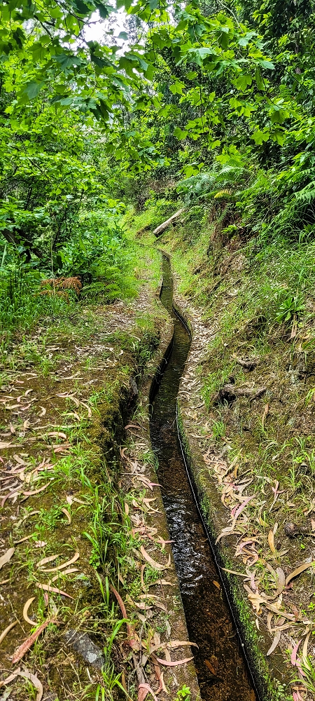 Levada do Poio — Verlauf bis zum Reservoir — Foto 10