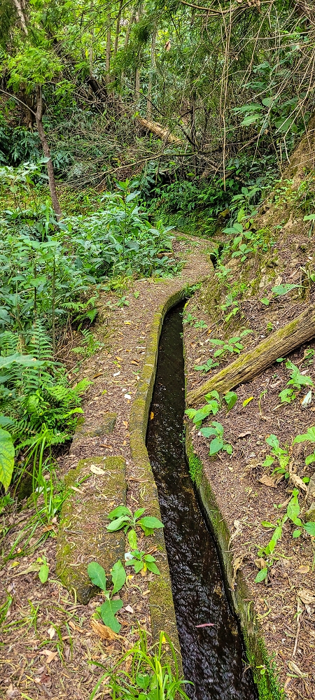 Levada do Poio — Verlauf bis zum Reservoir — Foto 9
