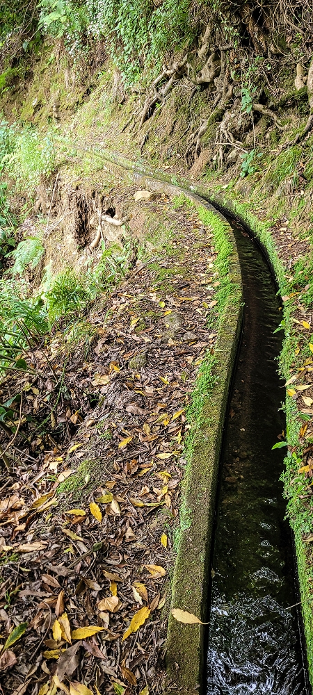 Levada do Poio — Verlauf bis zum Reservoir — Foto 8