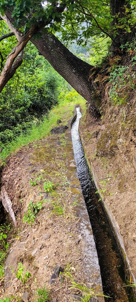 Levada do Poio — Verlauf bis zum Reservoir — Foto 7