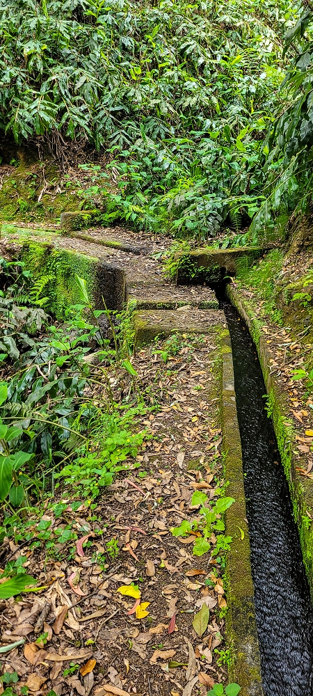 Levada do Poio — Verlauf bis zum Reservoir — Foto 6