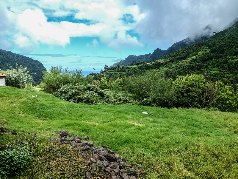 13.07.2018 Abschlusswanderung auf dem unglaublich grünen Unterlauf der Levada das Faias — Bis oberhalb des ersten Niveauüberganges — Foto 1