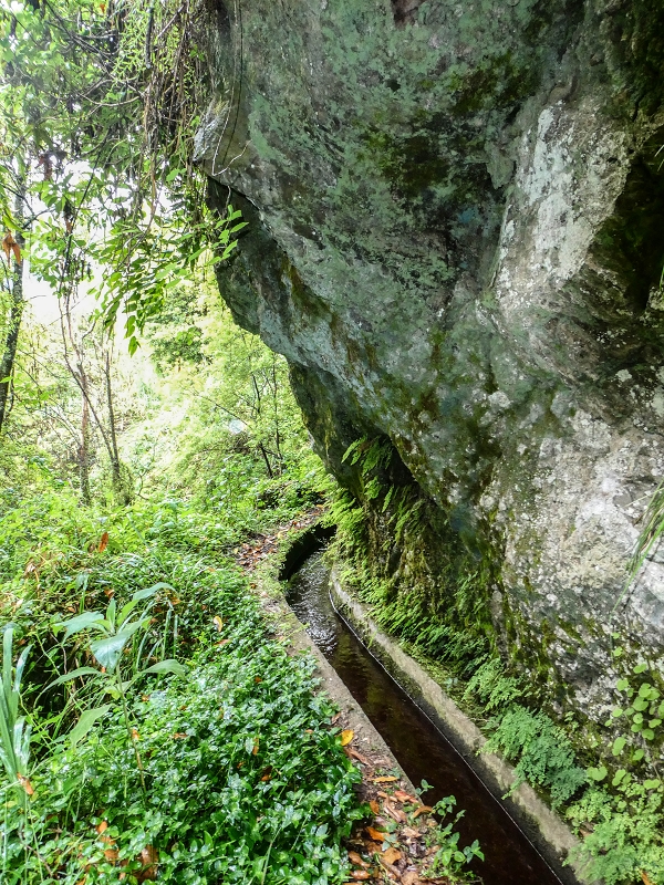 13.07.2018 Abschlusswanderung auf dem unglaublich grünen Unterlauf der Levada das Faias — Bis oberhalb des ersten Niveauüberganges — Foto 10