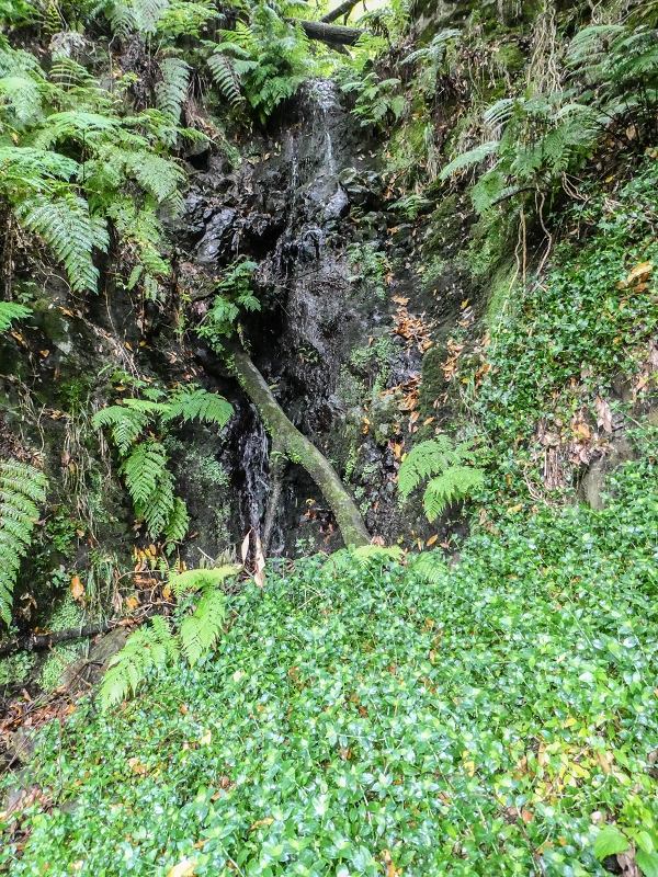 13.07.2018 Abschlusswanderung auf dem unglaublich grünen Unterlauf der Levada das Faias — Bis oberhalb des ersten Niveauüberganges — Foto 11