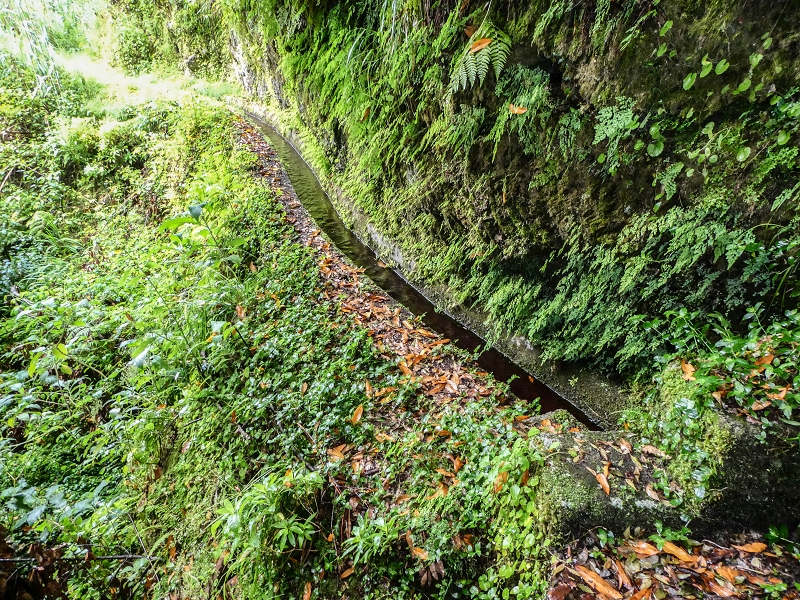 13.07.2018 Abschlusswanderung auf dem unglaublich grünen Unterlauf der Levada das Faias — Bis oberhalb des ersten Niveauüberganges — Foto 12