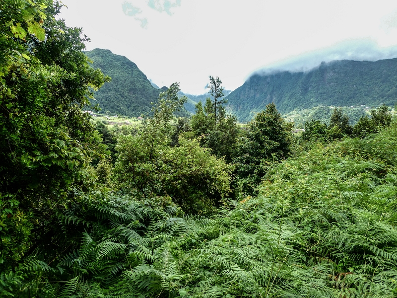 13.07.2018 Abschlusswanderung auf dem unglaublich grünen Unterlauf der Levada das Faias — Bis oberhalb des ersten Niveauüberganges — Foto 14