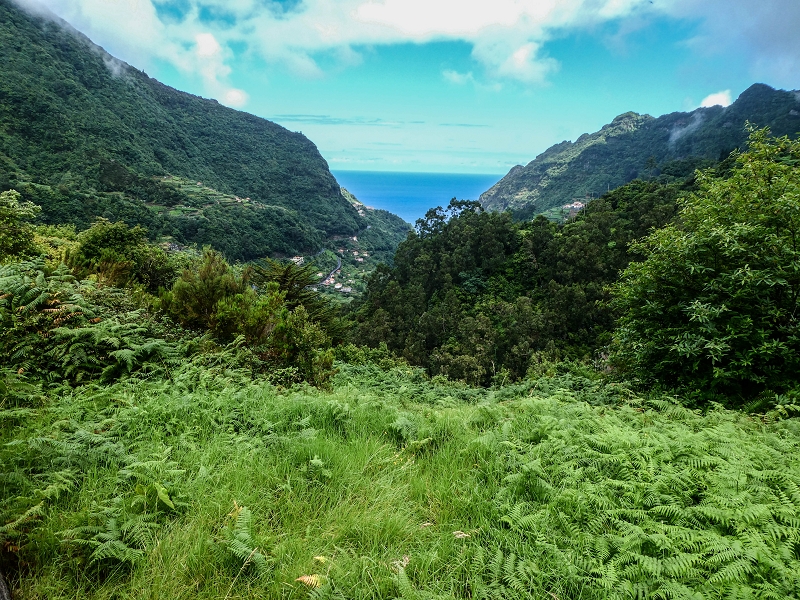 13.07.2018 Abschlusswanderung auf dem unglaublich grünen Unterlauf der Levada das Faias — Bis oberhalb des ersten Niveauüberganges — Foto 2