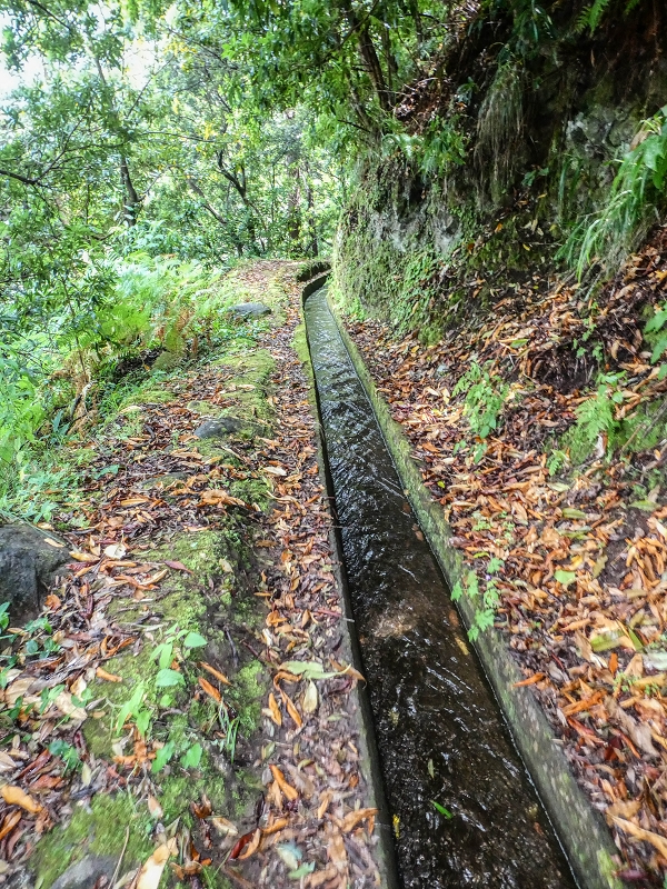 13.07.2018 Abschlusswanderung auf dem unglaublich grünen Unterlauf der Levada das Faias — Bis oberhalb des ersten Niveauüberganges — Foto 23