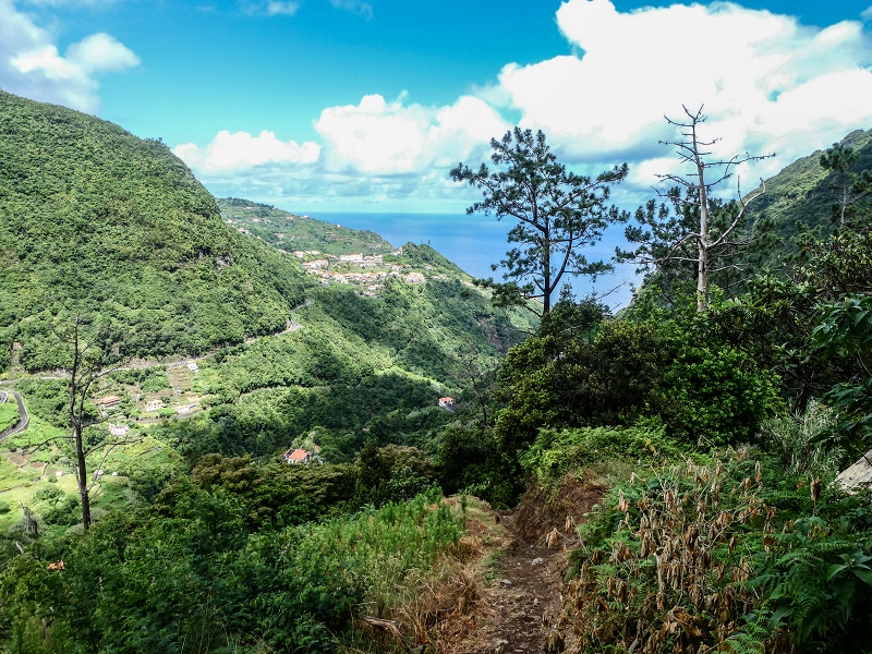 13.07.2018 Abschlusswanderung auf dem unglaublich grünen Unterlauf der Levada das Faias — Bis oberhalb des ersten Niveauüberganges — Foto 24