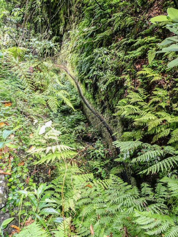 13.07.2018 Abschlusswanderung auf dem unglaublich grünen Unterlauf der Levada das Faias — Der erste Niveauübergang — Foto 3
