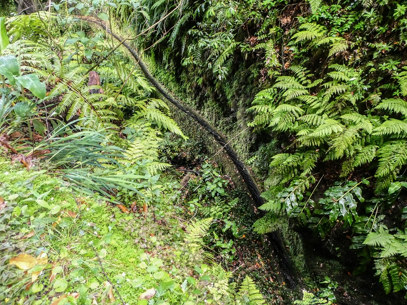 13.07.2018 Abschlusswanderung auf dem unglaublich grünen Unterlauf der Levada das Faias — Der erste Niveauübergang — Foto 4