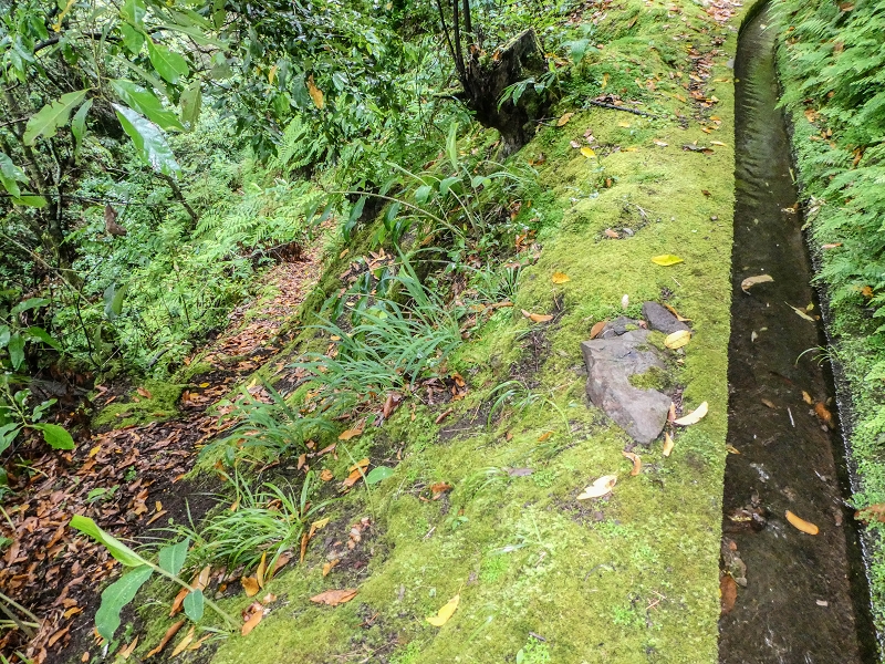 13.07.2018 Abschlusswanderung auf dem unglaublich grünen Unterlauf der Levada das Faias — Der erste Niveauübergang — Foto 7