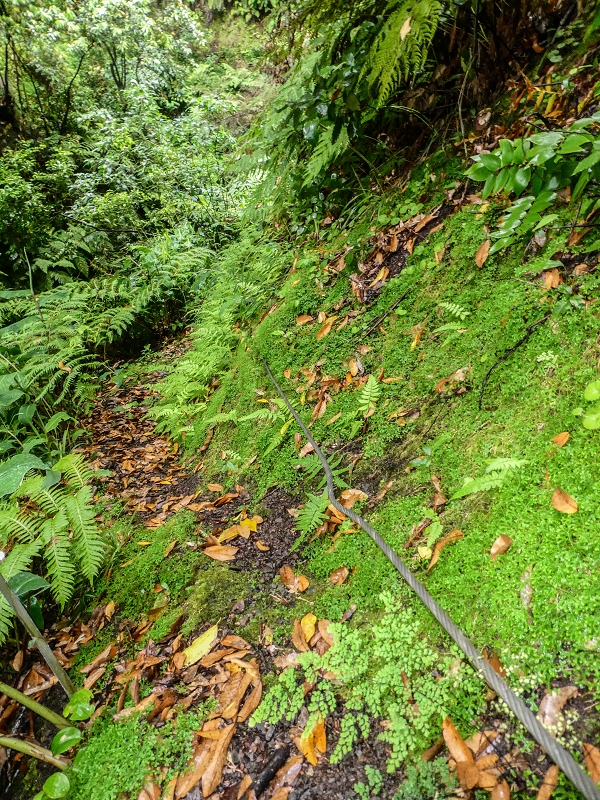 13.07.2018 Abschlusswanderung auf dem unglaublich grünen Unterlauf der Levada das Faias — Der erste Niveauübergang — Foto 9