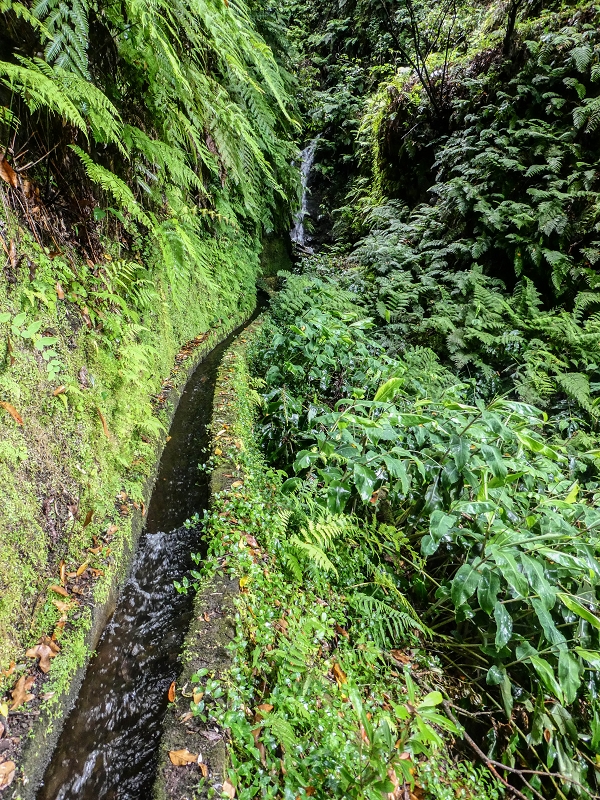 13.07.2018 Abschlusswanderung auf dem unglaublich grünen Unterlauf der Levada das Faias — Der erste Niveauübergang — Foto 10