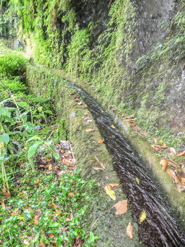 13.07.2018 Abschlusswanderung auf dem unglaublich grünen Unterlauf der Levada das Faias — Der erste Niveauübergang — Foto 12