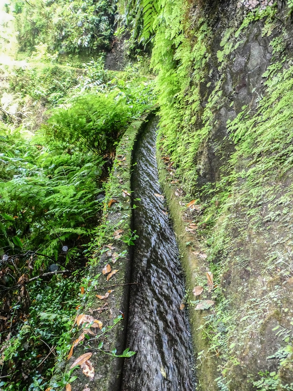 13.07.2018 Abschlusswanderung auf dem unglaublich grünen Unterlauf der Levada das Faias — Der erste Niveauübergang — Foto 13