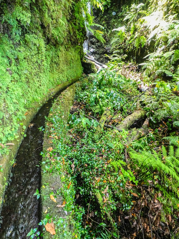 13.07.2018 Abschlusswanderung auf dem unglaublich grünen Unterlauf der Levada das Faias — Der erste Niveauübergang — Foto 14