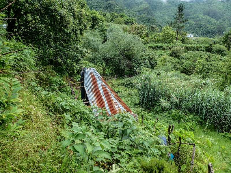 13.07.2018 Abschlusswanderung auf dem unglaublich grünen Unterlauf der Levada das Faias — Bis oberhalb des ersten Niveauüberganges — Foto 4