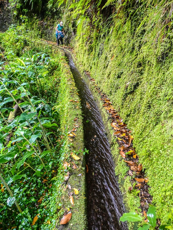 13.07.2018 Abschlusswanderung auf dem unglaublich grünen Unterlauf der Levada das Faias — Der erste Niveauübergang — Foto 15