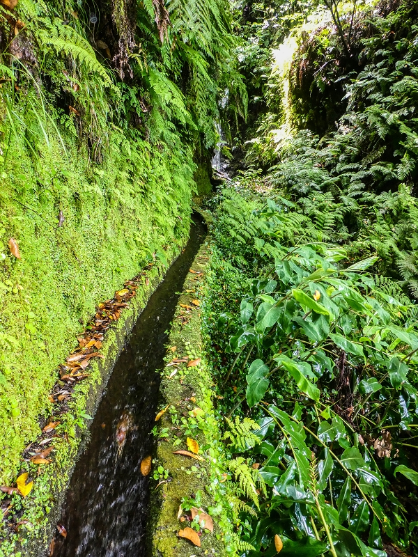 13.07.2018 Abschlusswanderung auf dem unglaublich grünen Unterlauf der Levada das Faias — Der erste Niveauübergang — Foto 16