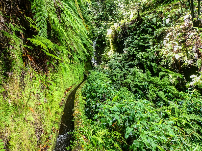13.07.2018 Abschlusswanderung auf dem unglaublich grünen Unterlauf der Levada das Faias — Der erste Niveauübergang — Foto 17
