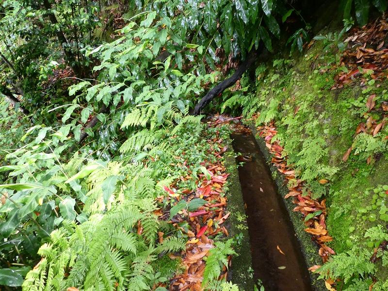 13.07.2018 Abschlusswanderung auf dem unglaublich grünen Unterlauf der Levada das Faias — Der zweite Niveauübergang — Foto 1